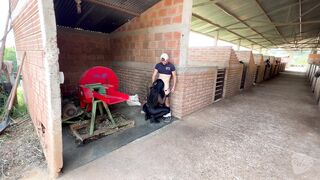 mi primera chamba en una pesebrera y por hacer las cosas mal la dueña