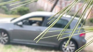 Follando en un Descampado XXX