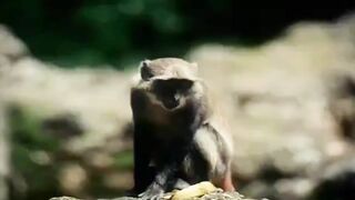 0689-Tarzan & Jane1995 (Full Movie) with subtitles