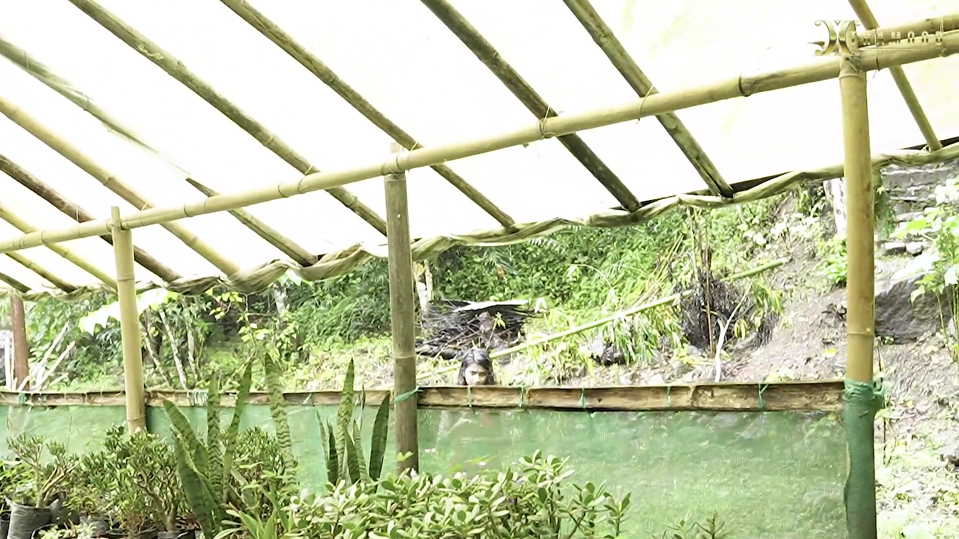 FIRM HOUSE MALKIN FUCKED HER NAUKER, FULL OUTDOOR sudipa