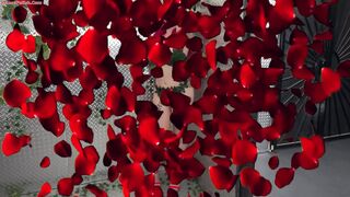 Lily Lou Poison Ivy DPed By Superman And Batman