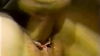 Harlequin Affair Classic