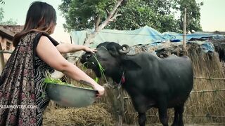 Tharki Sarpanch Season 01 Episode 01 Uncut