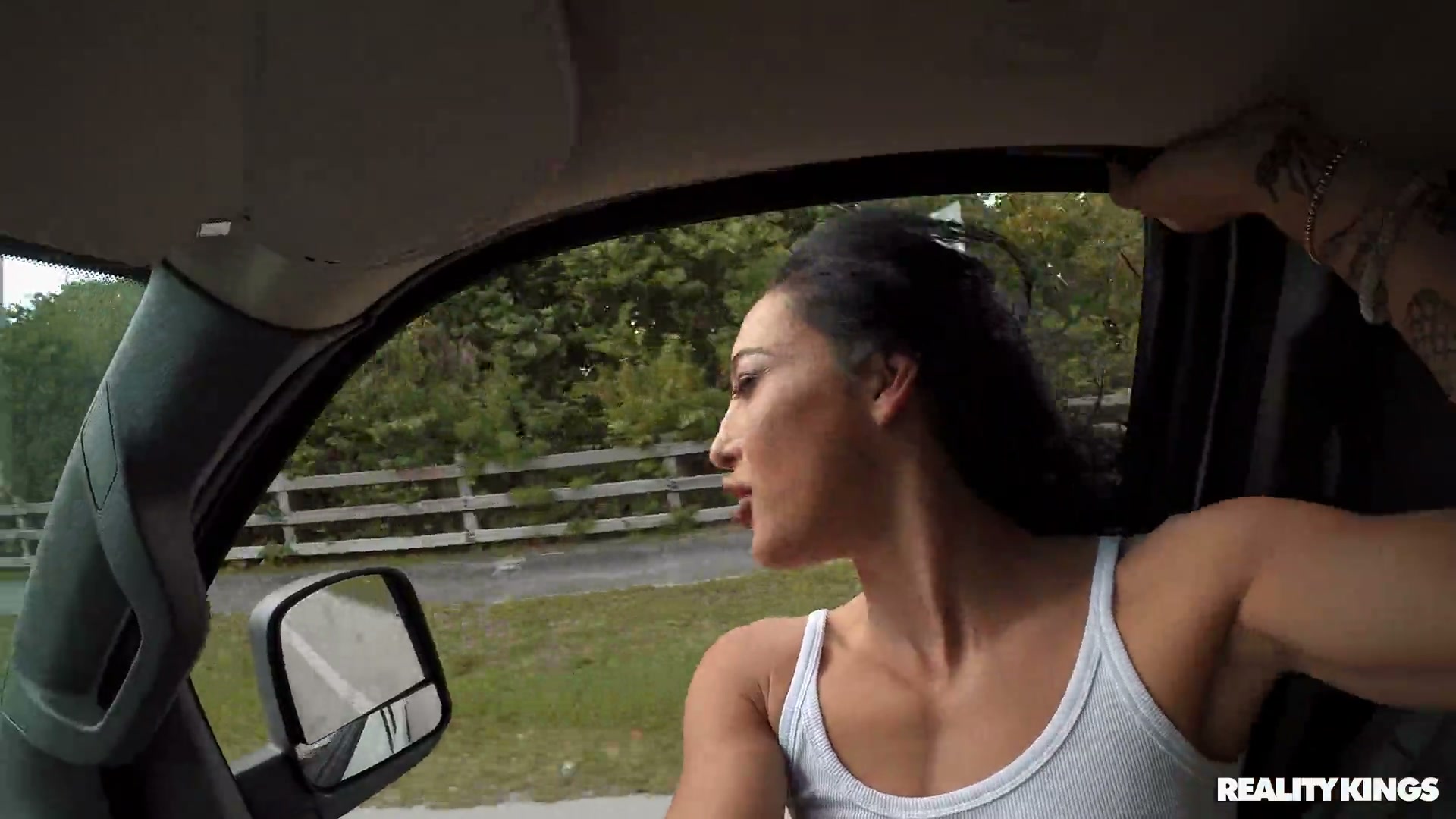 Valerie Vixen – A Long Hard Ride
