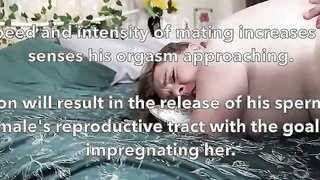 Hot wife Rachel short 4